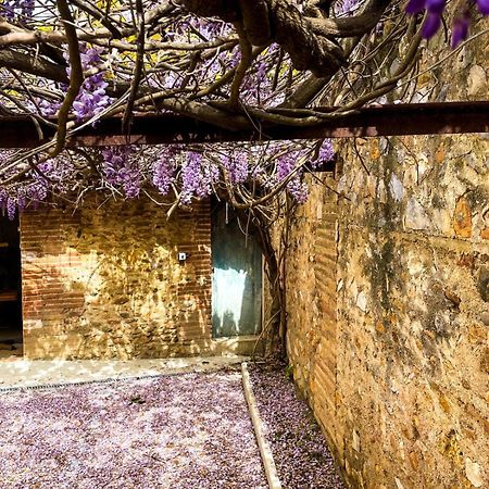 Gîte de charme du Domaine Pagnon Guillemette Torreilles Extérieur photo