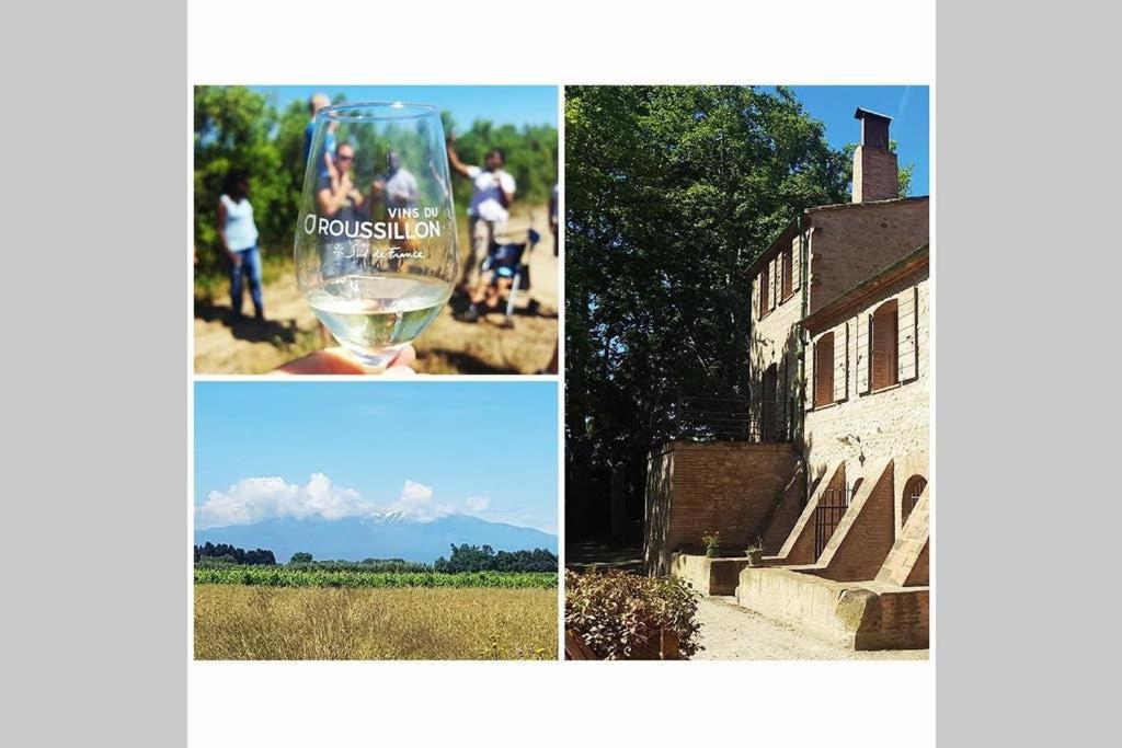 Gîte de charme du Domaine Pagnon Guillemette Torreilles Extérieur photo