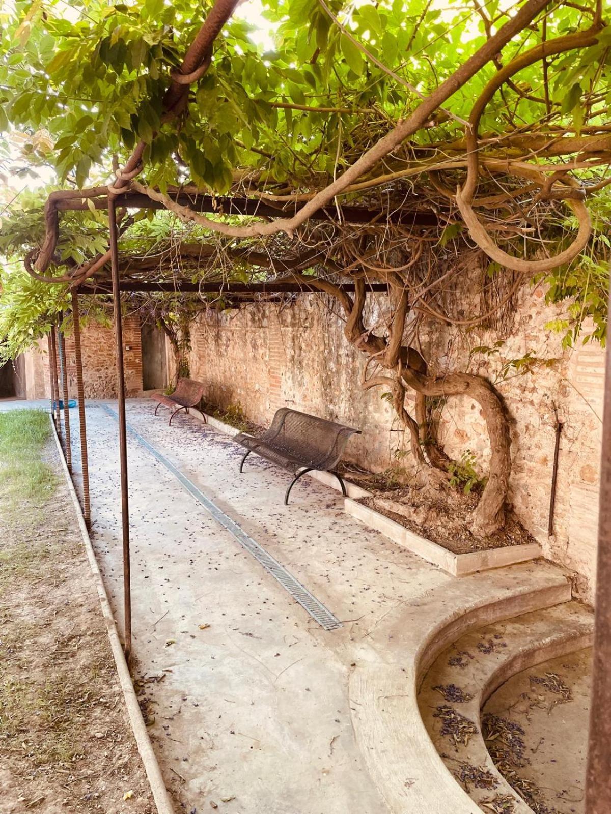 Gîte de charme du Domaine Pagnon Guillemette Torreilles Extérieur photo